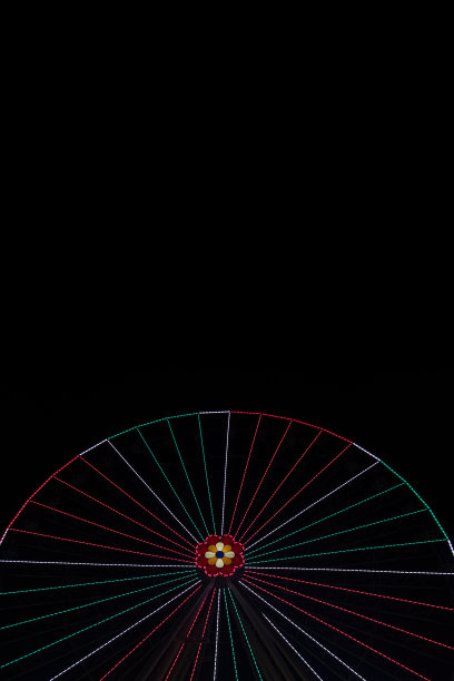 嘉年华摩天轮夜景垂直画图片下载