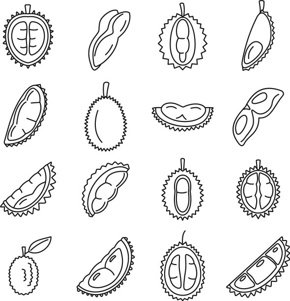 榴莲水果图标设置轮廓风格图片下载