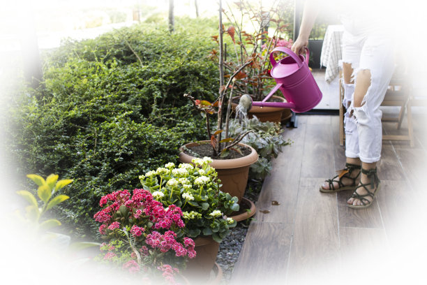 一位穿着白色连衣裙的年轻女子正在用粉红色的水桶在花园里浇花图片下载