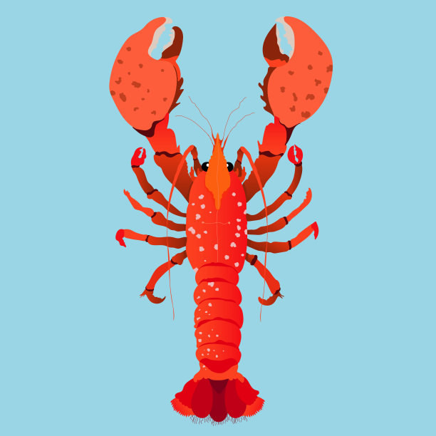 红龙虾孤立手绘矢量插图。现代红色龙虾与大爪设计的网页和印刷。昂贵的海鲜的概念。水下动物。图片下载