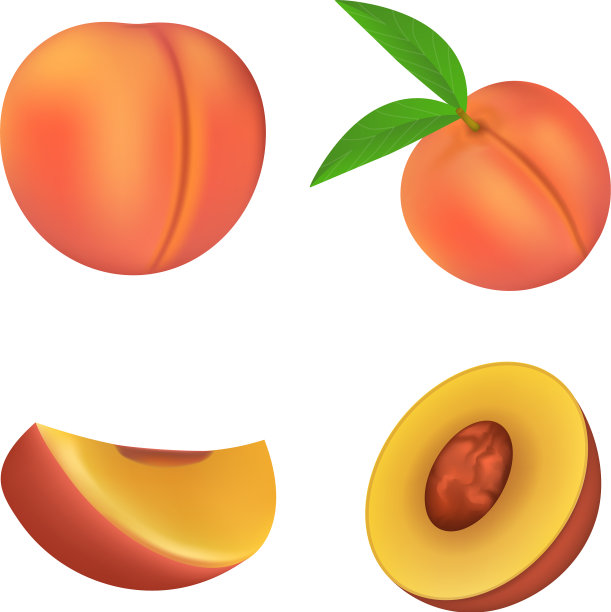 桃子图标设置现实主义风格图片下载