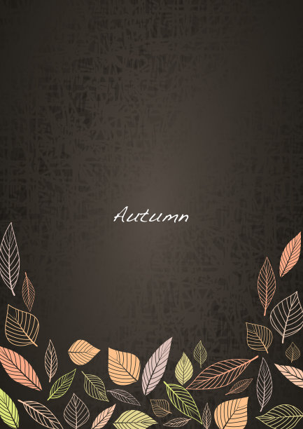 抽象的落叶和涂鸦的树叶框架矢量装饰在秋天的季节节日。图片下载