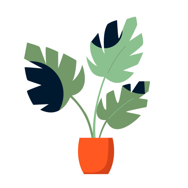 花盆里的外来怪物棕榈的矢量插图。植物学海报图片下载