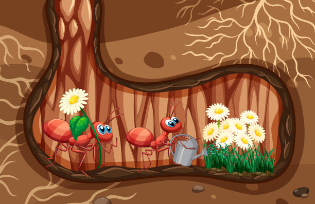 地下场景与蚂蚁浇灌植物图片下载