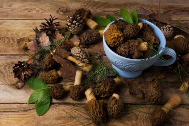 木质背景上的蓝碗黑 morel 蘑菇图片下载