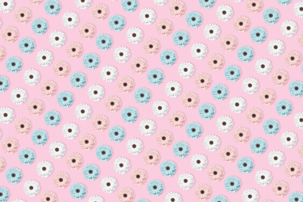粉红色，蓝色和白色洋甘菊或非洲菊花图案。图片下载
