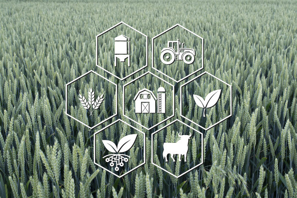 图标代表农业图片下载