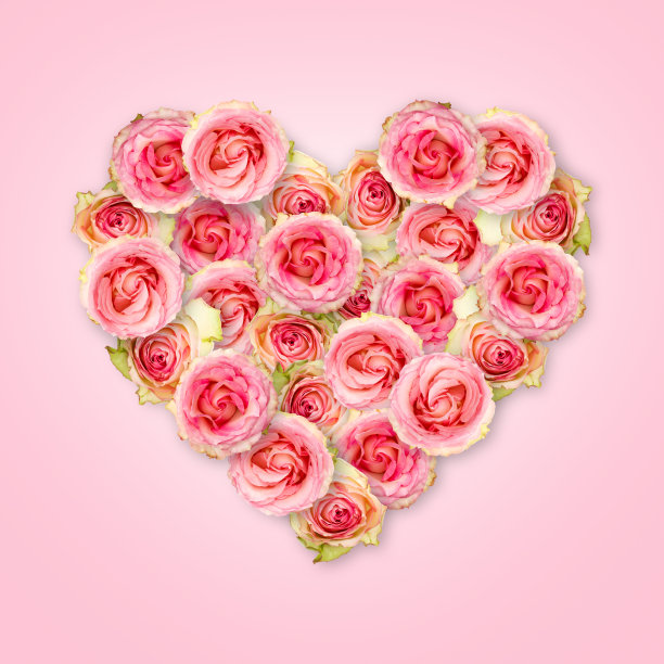 一束心形的茶玫瑰，以淡粉色为背景。情人节。爱的概念。图片下载