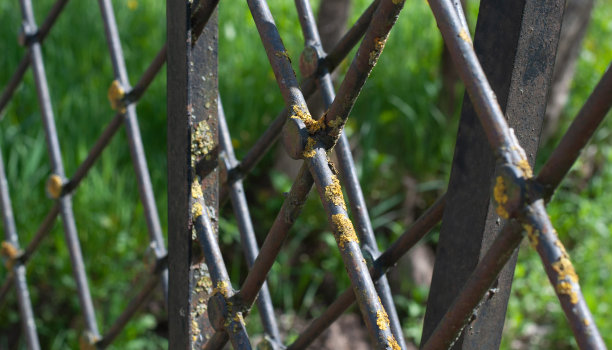 一块带有苔藓痕迹的旧金属栅栏碎片图片下载