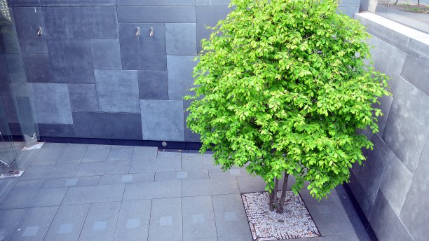 用植被装饰墙壁、地板和外部立面的生态建筑图片下载