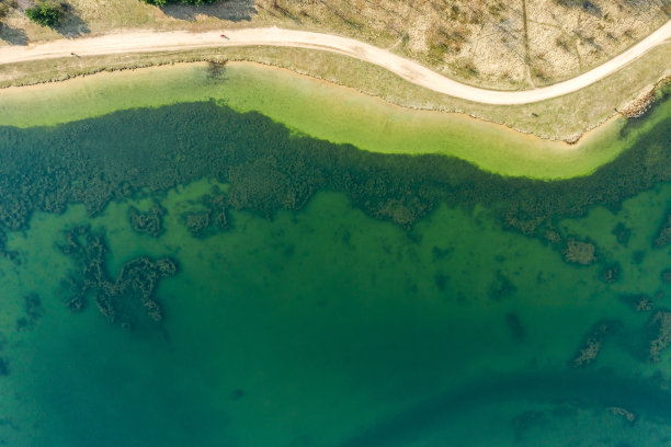 俯视图航拍的道路之间的春天的田野和湖泊图片下载
