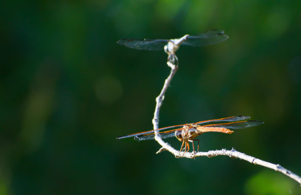 空中交通管制……准备起飞图片下载
