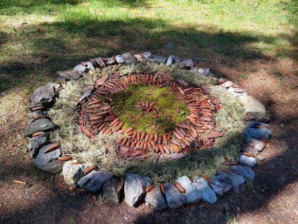 石圈内有松果和地衣图片下载