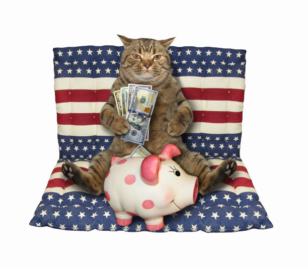 猫和存钱罐在气垫床上图片下载