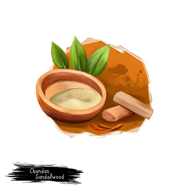 Chandan -檀香阿育吠陀草药数字艺术插图与文字隔离。有机健康植物广泛用于治疗和治疗，植物为天然保健制剂药物图片下载