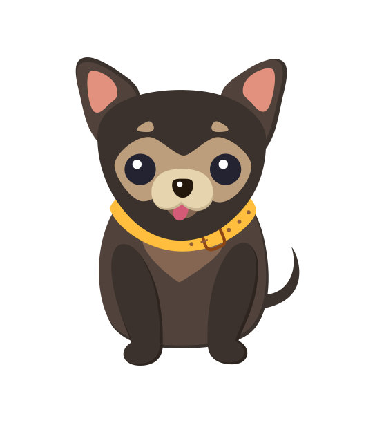 吉娃娃狗图片海报矢量插图图片下载