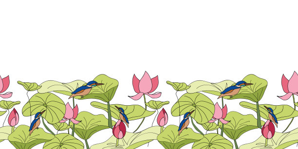 翠鸟坐在荷花边图片下载