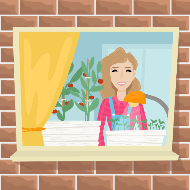 种植蔬菜的苗床图片下载