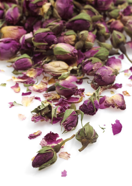 白色背景下的干玫瑰花蕾图片下载