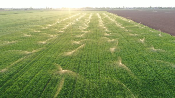 灌溉系统在日落时就在地里图片下载