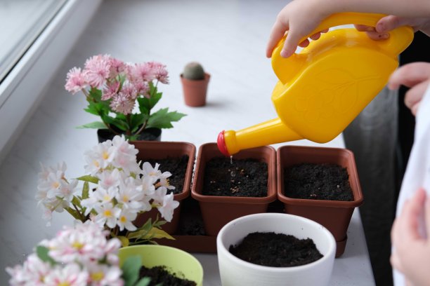 园艺在回家。图片下载