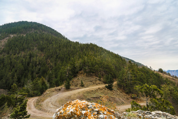 多云天空下长满松树的山间土路图片下载
