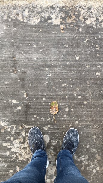 地板上的叶片图片下载