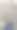 地板上的叶片图片下载