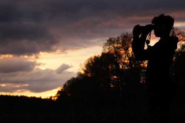 所有视图图片下载