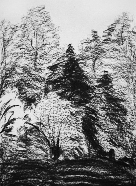 森林铅笔画、黑白素描插图图片下载