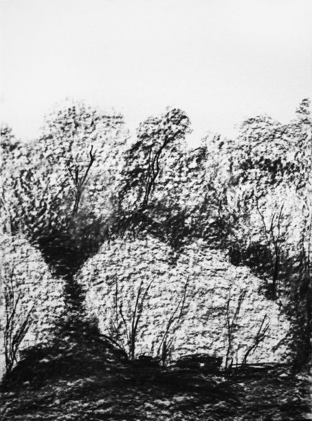 森林铅笔画、黑白素描插图图片下载