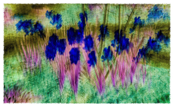 抽象的花朵图片下载