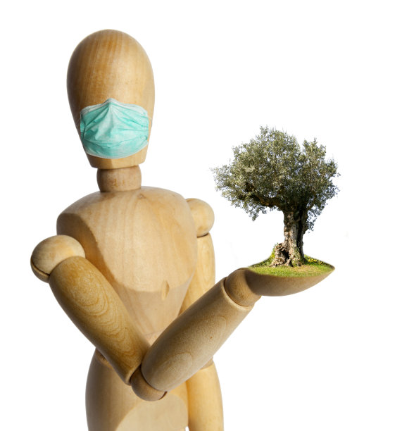 带着面具和橄榄树的木娃娃图片下载