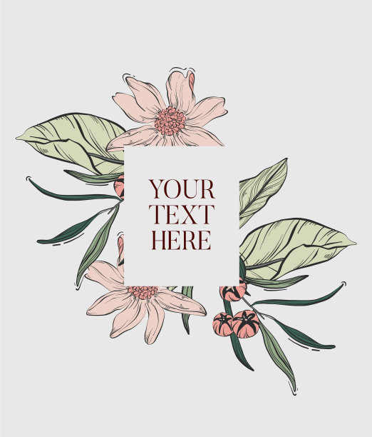 白玉兰线画植物手绘图片下载