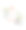 白玉兰线画植物手绘图片下载