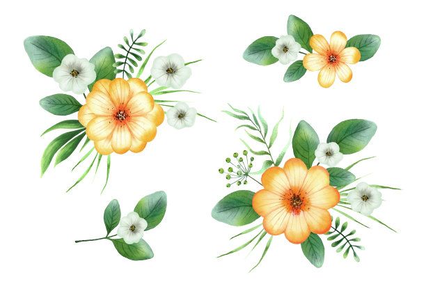 水彩手画花束与绿色的叶子和橙色的夏季花。植物植物卡，婚礼请柬，海报，保存日期或问候设计孤立在白色背景。图片下载
