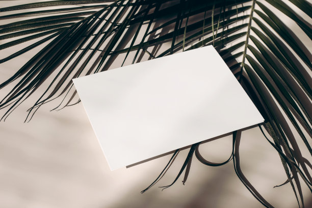 夏日异国情调文具模型，书桌场景。在阳光下，米色的桌子背景上，空白的问候、名片和棕榈叶。热带风格的照片，网页横幅。长长的影子。图片下载