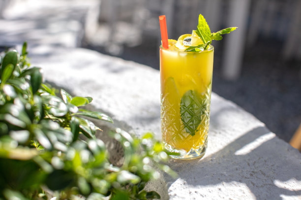 加新鲜柠檬和薄荷的柠檬水图片下载