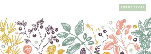 浆果收集1图片下载