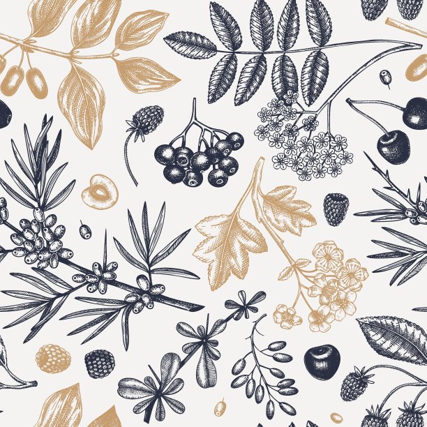 轮设计的图片下载