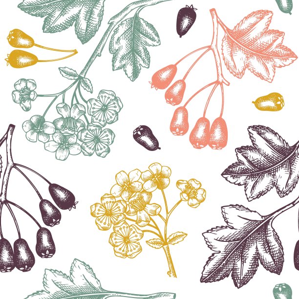 蛋糕1概述图片下载