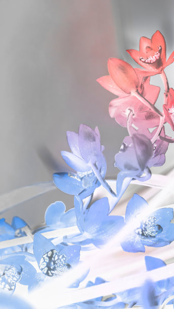 蓝色花朵图形图片下载