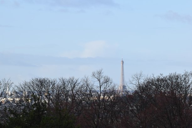 从Père-Lachaise的墓地远眺埃菲尔铁塔图片下载
