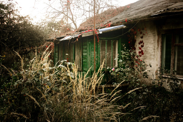 在阳光明媚的夏天花园有门廊的老乡村房子图片下载