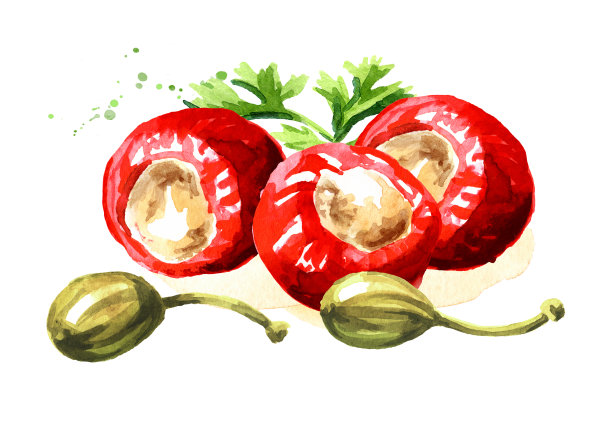 意大利辣椒，夹金枪鱼、酸豆和香草。手绘水彩插图孤立的白色背景图片下载
