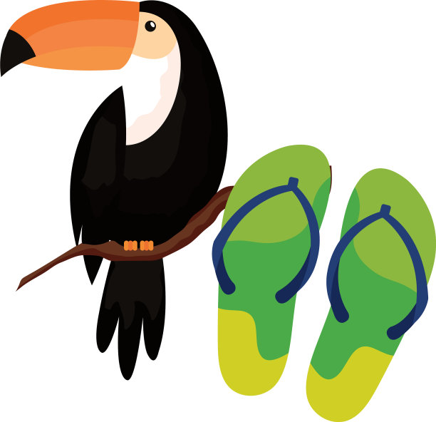 拖鞋与巨嘴鸟孤立的图标图片下载