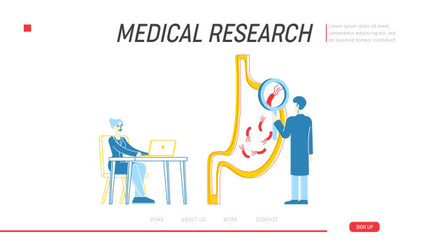 胃肠病学，健康，医药和保健登陆页面模板。医生用巨大的放大镜学习胃与幽门螺杆菌。线性人物矢量图图片下载