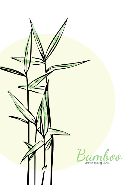 竹叶，矢量图图片下载