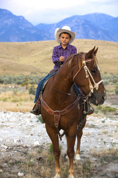 小牛仔图片下载