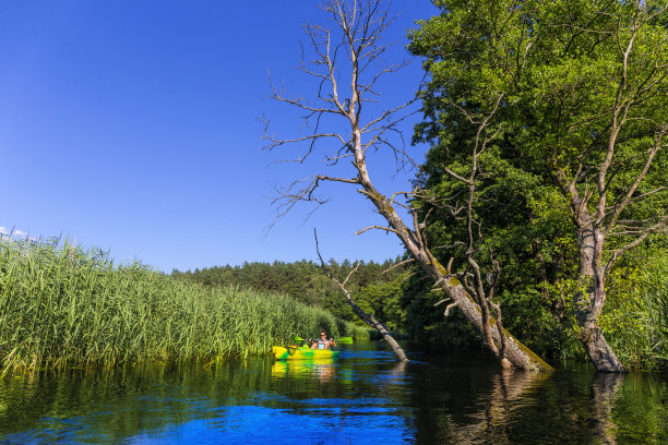 波兰度假-年轻女子在德拉瓦河上划着皮划艇图片下载